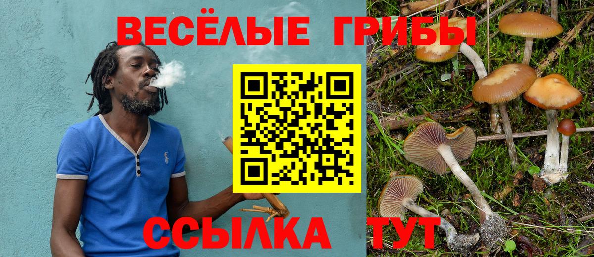 где купить наркоту  Вход с VPN  Озёрск  Псилоцибиновые грибы мухоморы 
